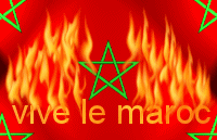 vivle maroc
